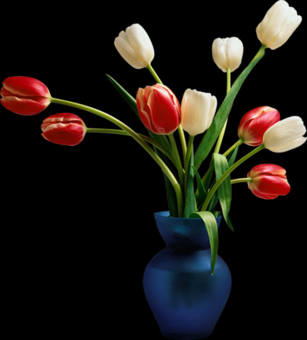 Red_and_ White_ Tulips_in_ Blue_ Vase PNG