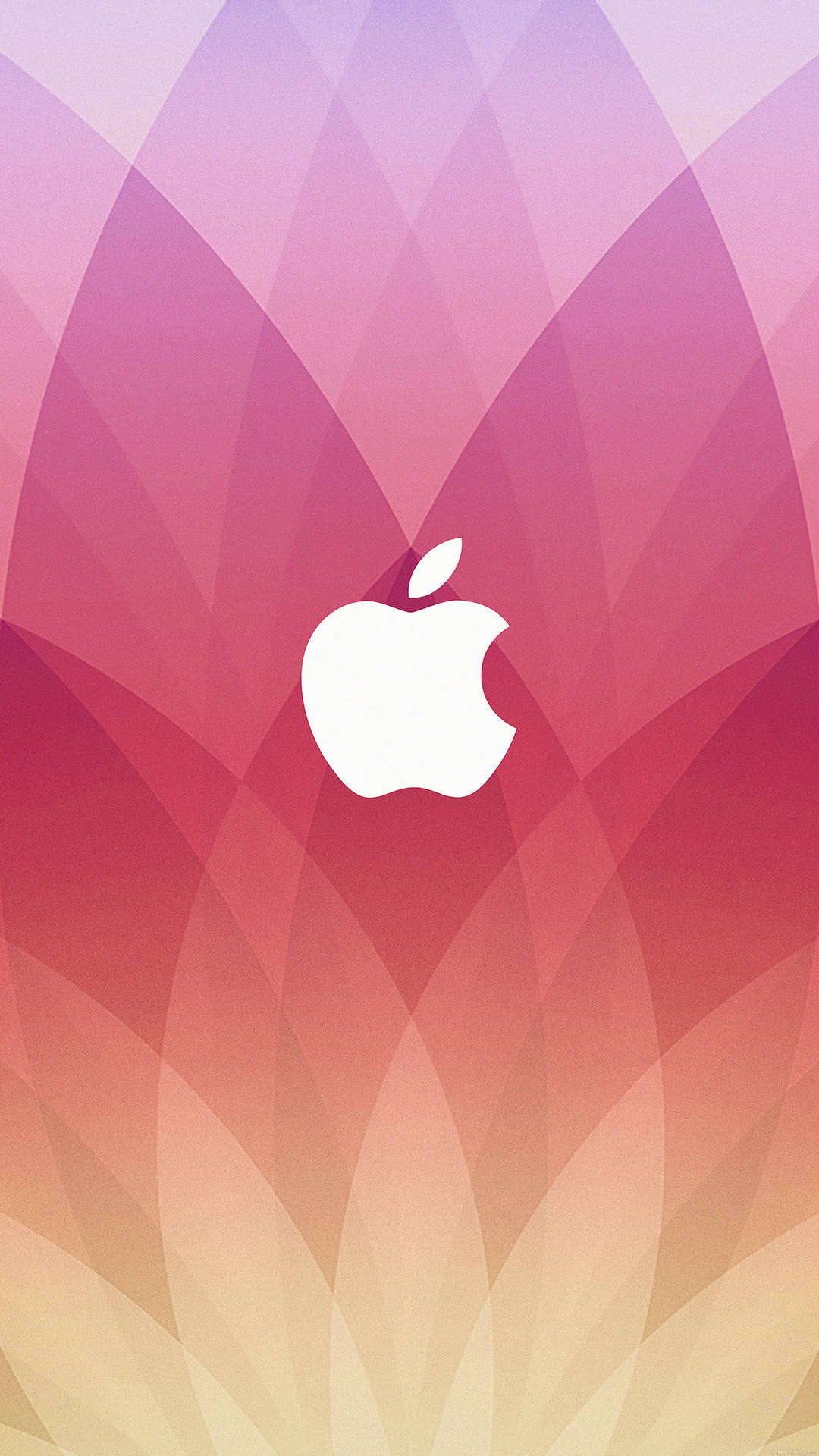 Red And Yellow Gradient Apple Logo Smartphone Background Wallpaper