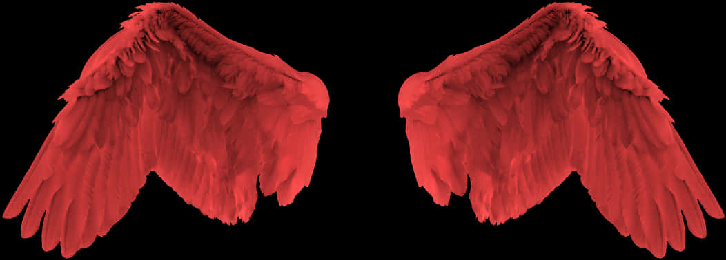 Red Angel Wings Graphic PNG