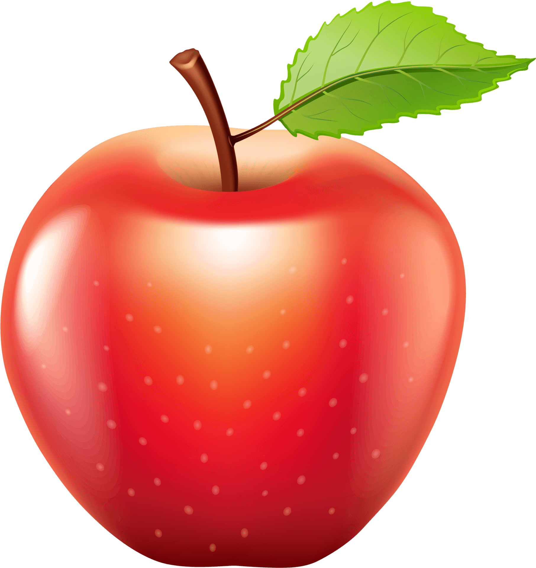 Red Apple Illustration PNG