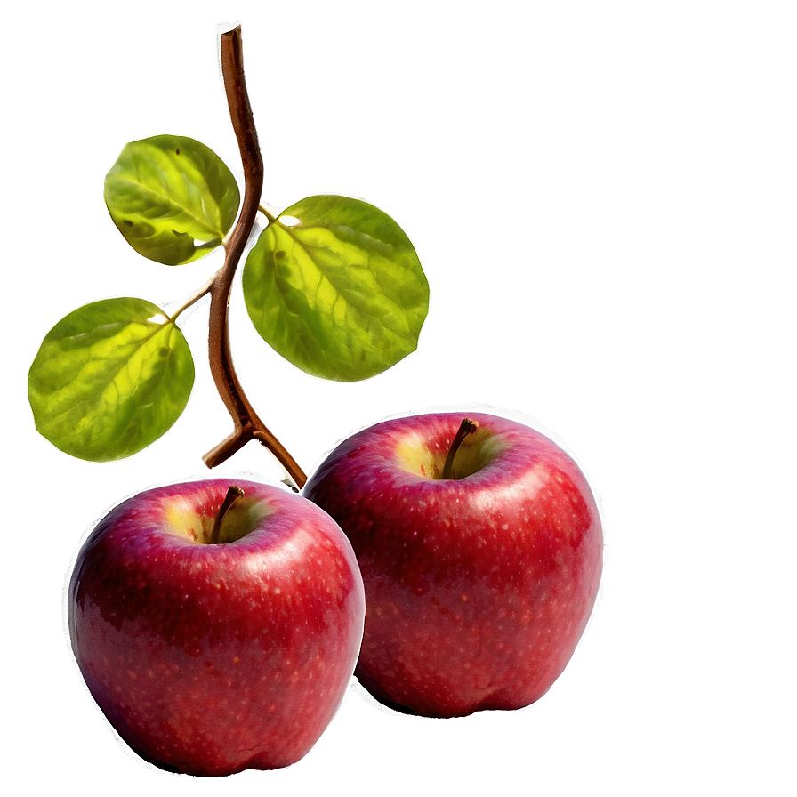 Red Apple Png Ivh12 PNG