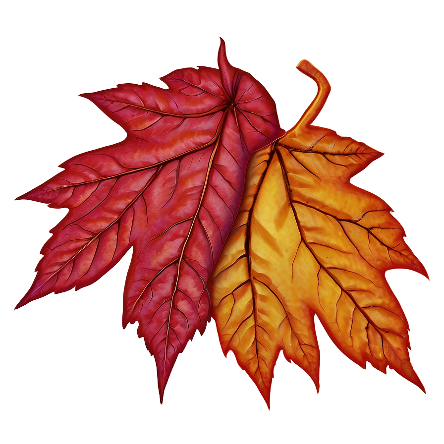 Red Autumn Leaf Image Png 06202024 PNG