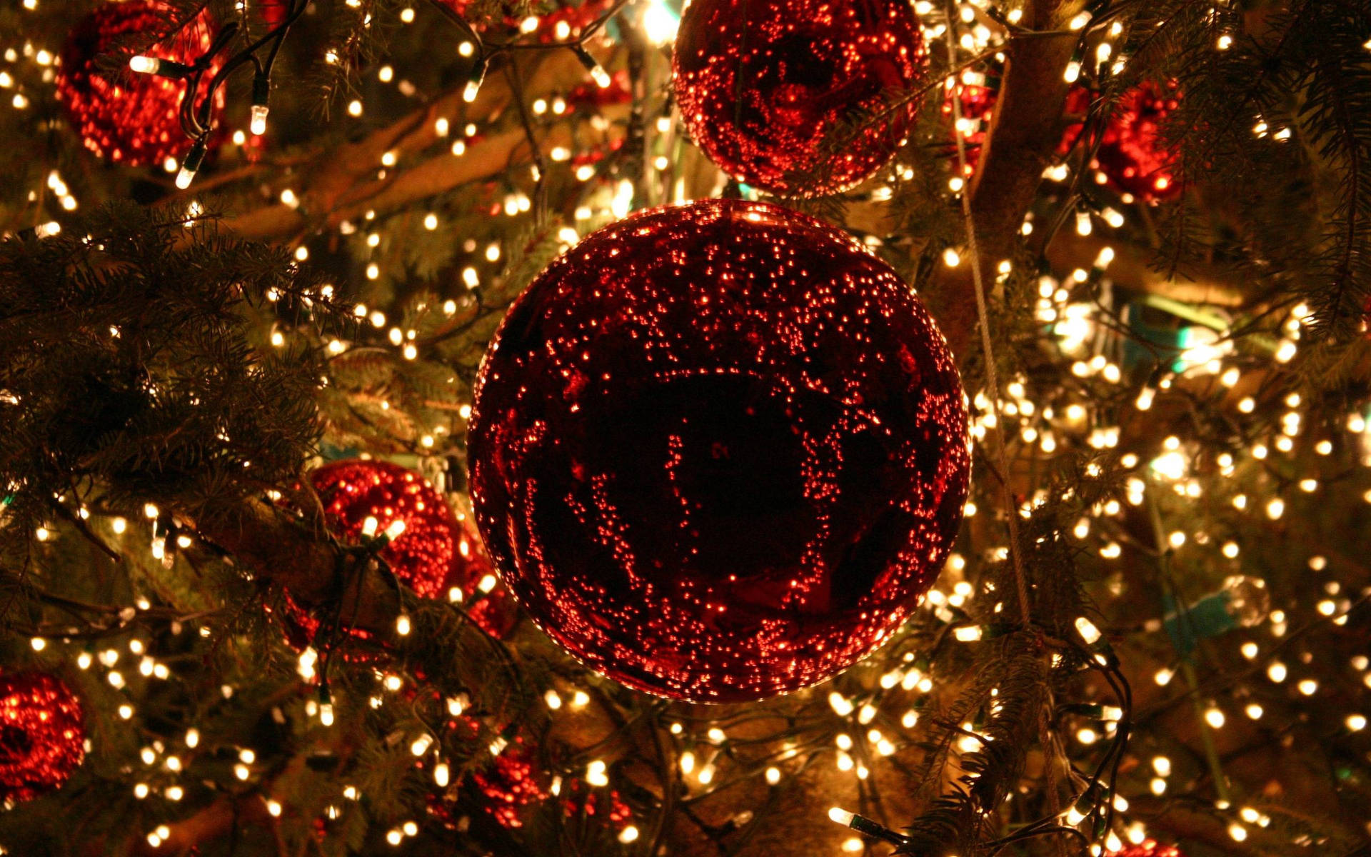 Red Christmas Lights Dangling from a Stocking Cap. Wallpaper