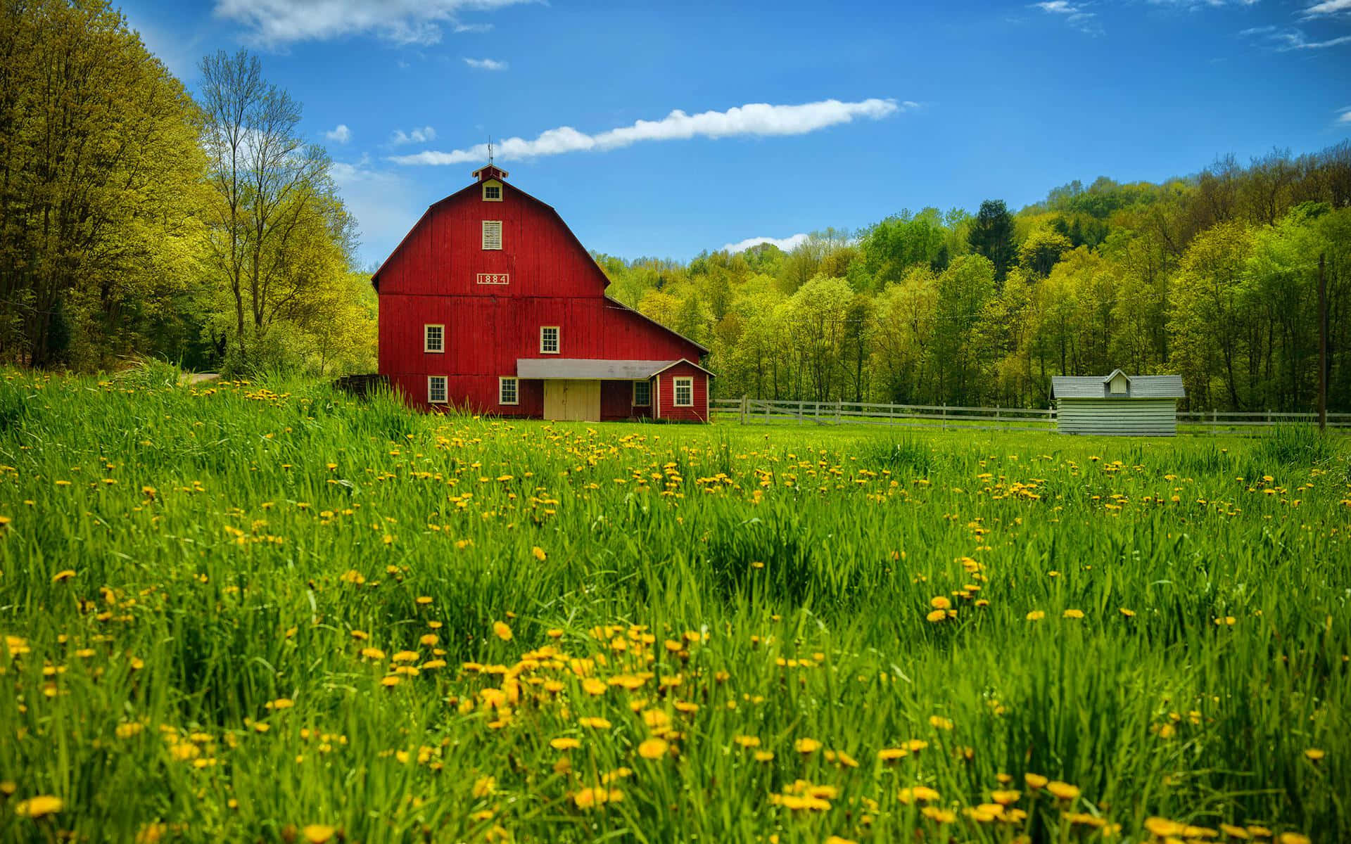 Red Barn In Countryside In Summer Wallpaper