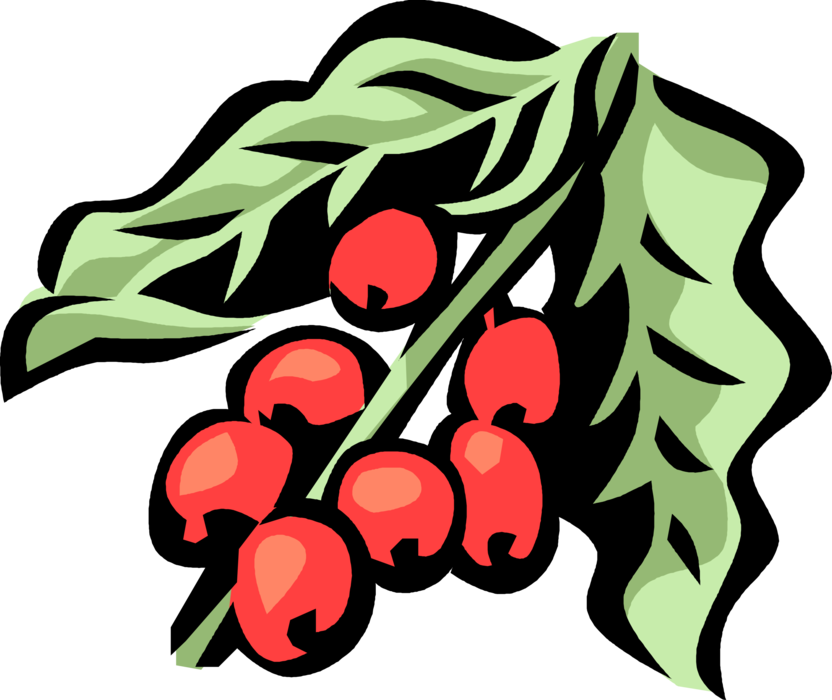 Red Beans Illustration PNG