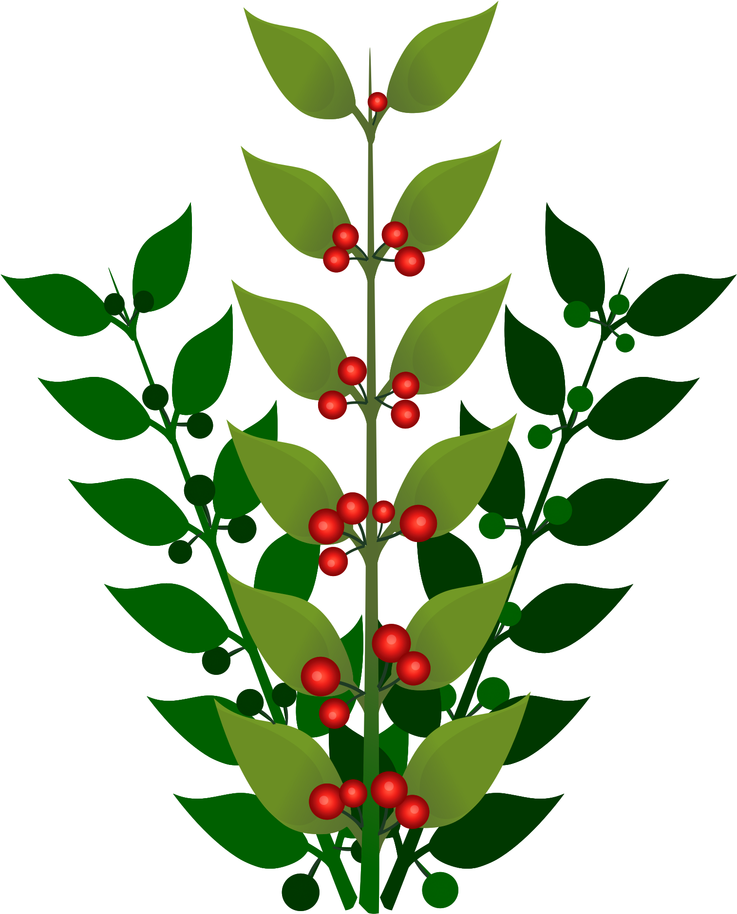 Red Berries Green Leaves Illustration PNG