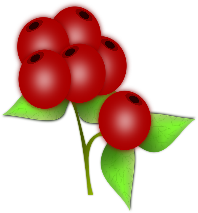 Red Berries Illustration PNG