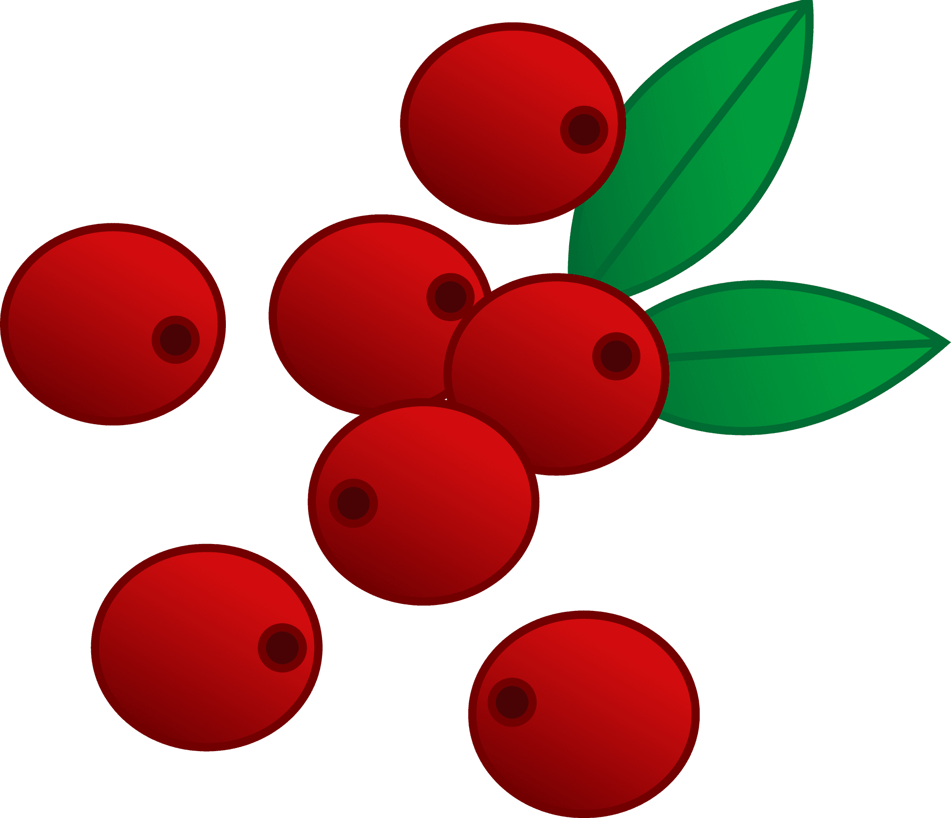 Red Berries Illustration PNG