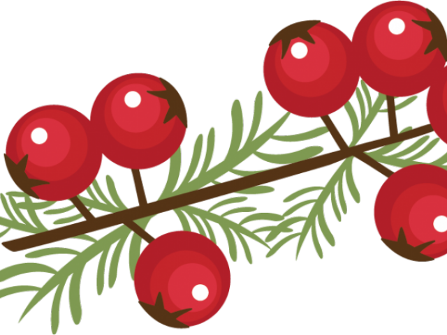 Red Berries Illustration PNG