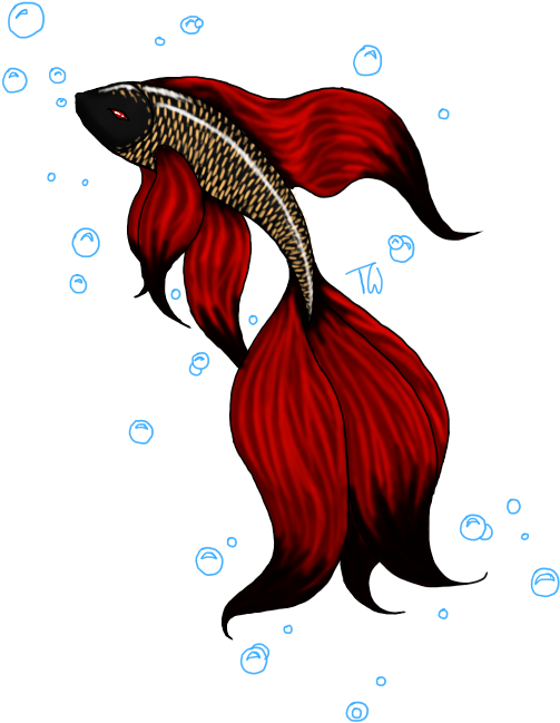 Red Betta Fish Artwork PNG