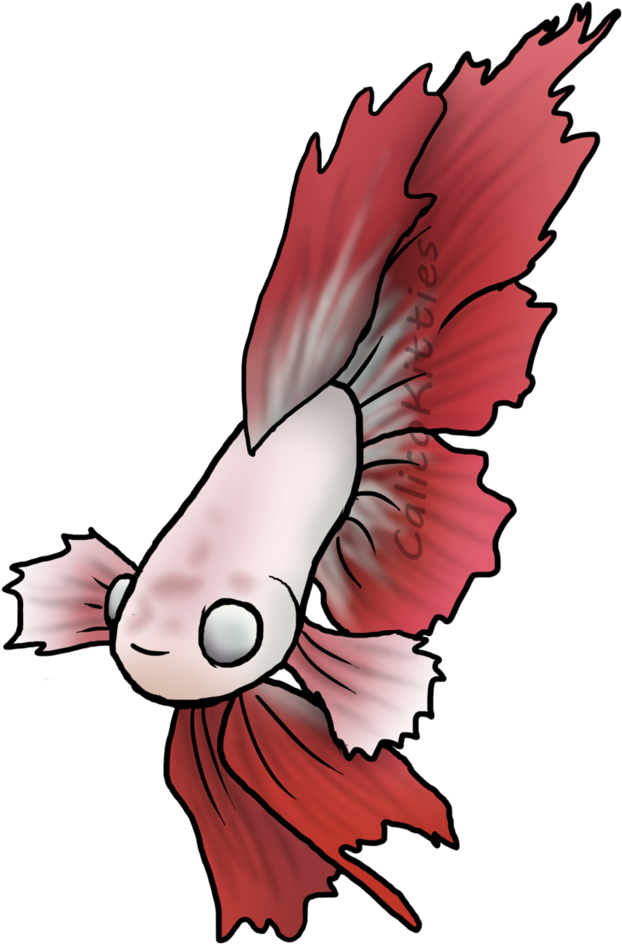 Red Betta Fish Illustration PNG