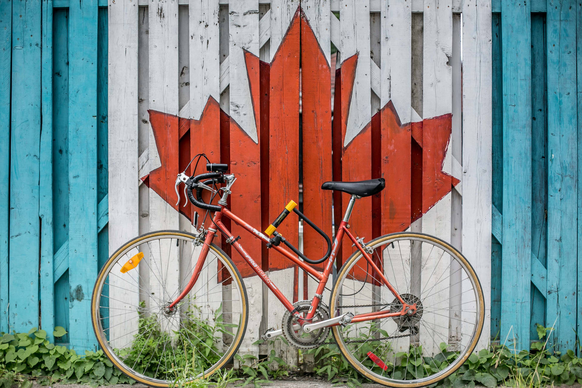 Red Bike Beside Wooden Wall Background
