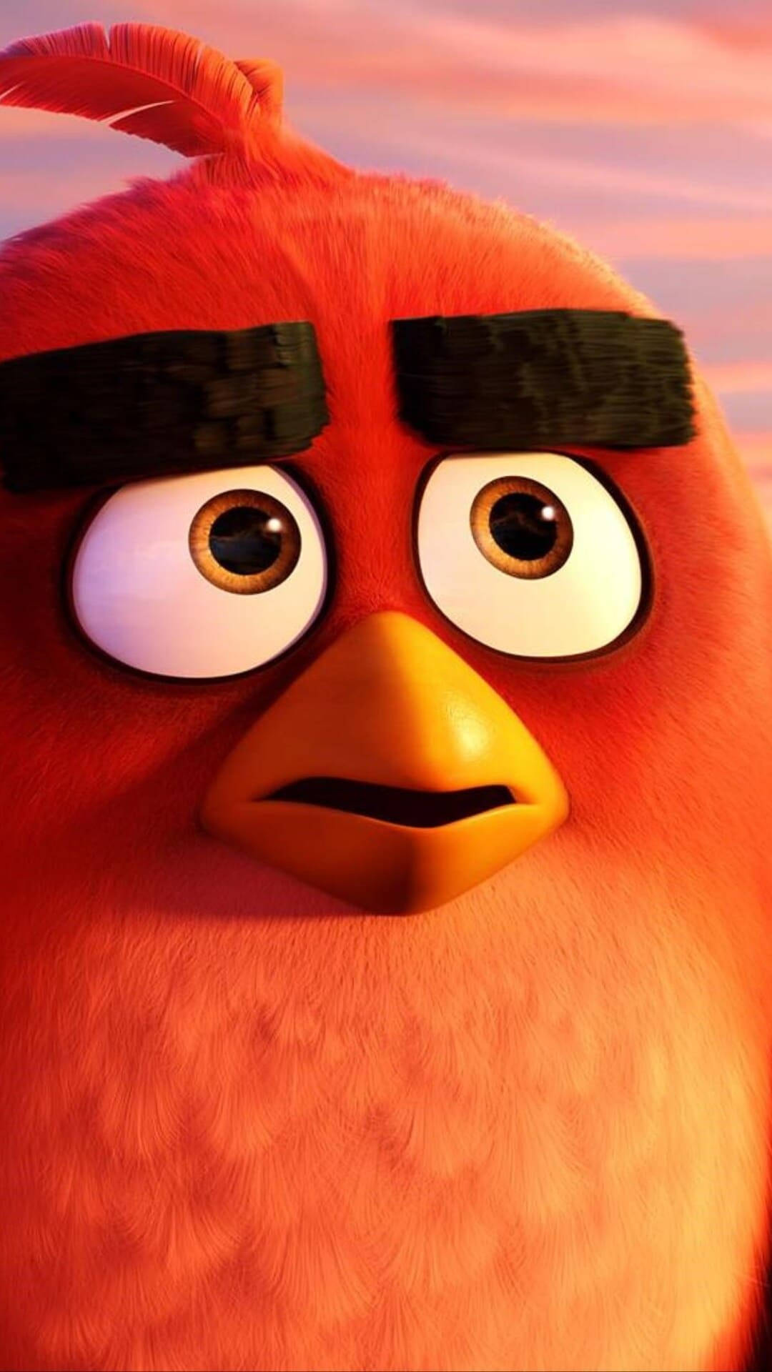 Red Bird From The Angry Birds Movie Wallpaper
