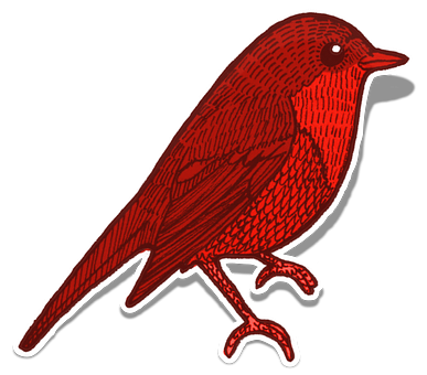 Red Bird Illustration PNG