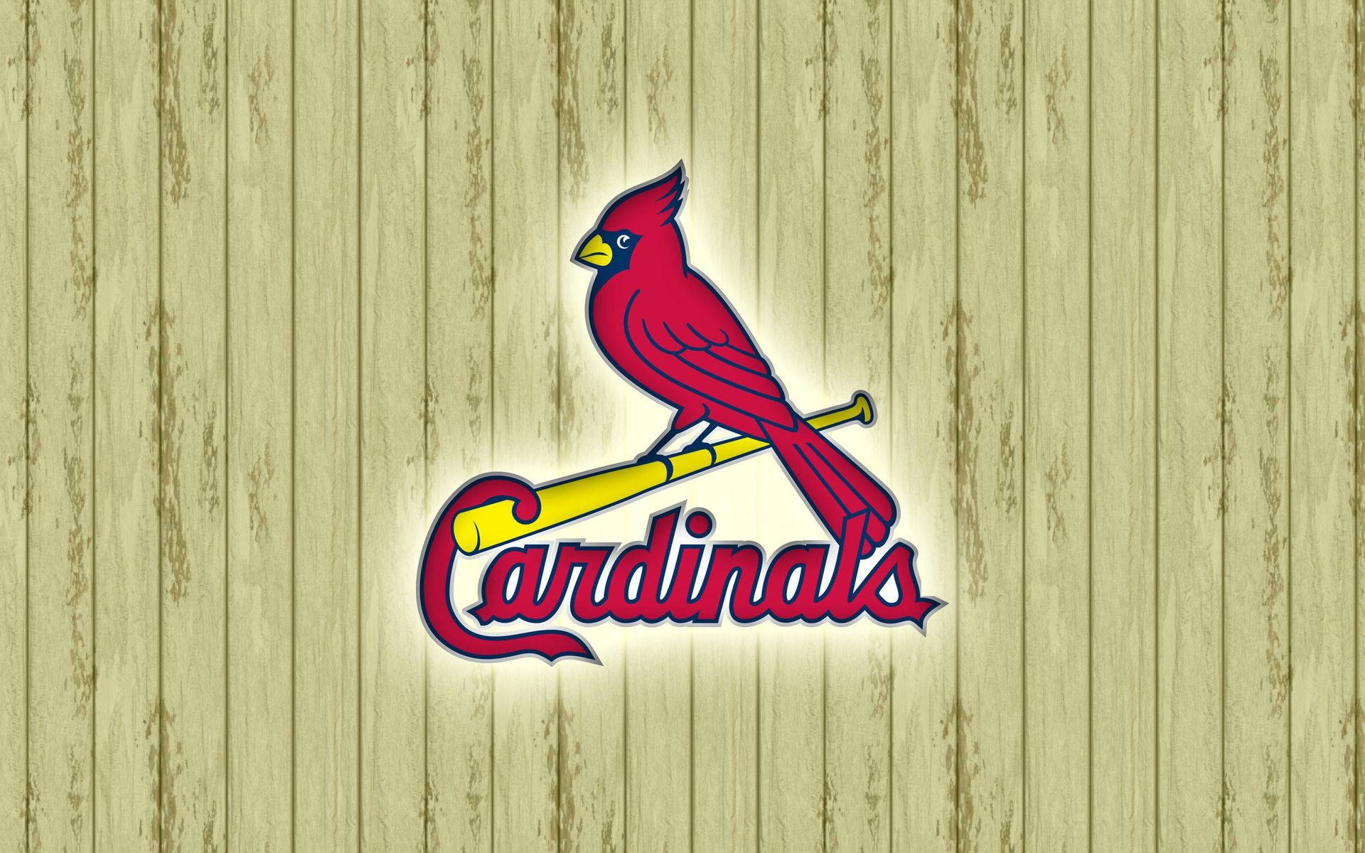 Red Bird St Louis Cardinals Wallpaper