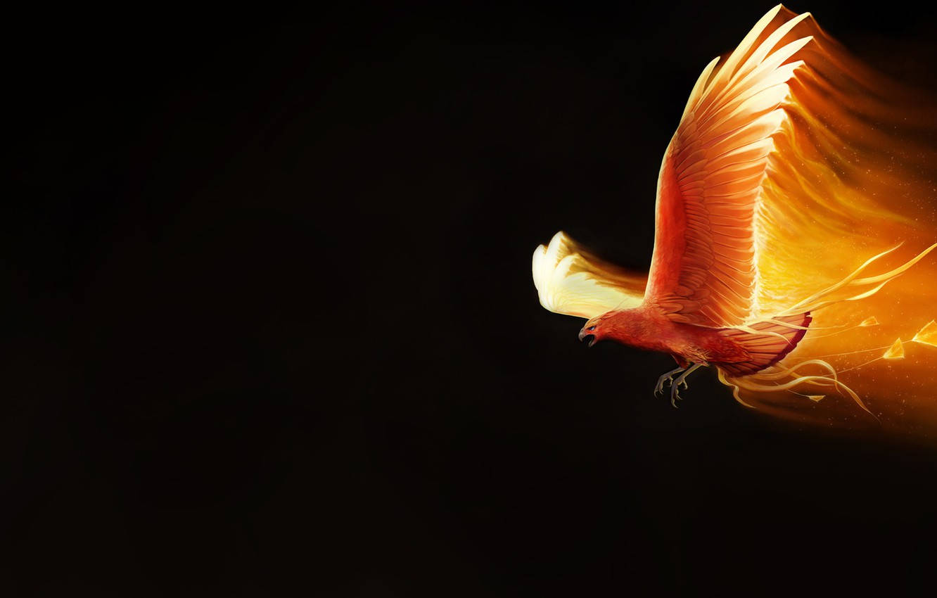 Red Bird With Fire Wings Wallpaper