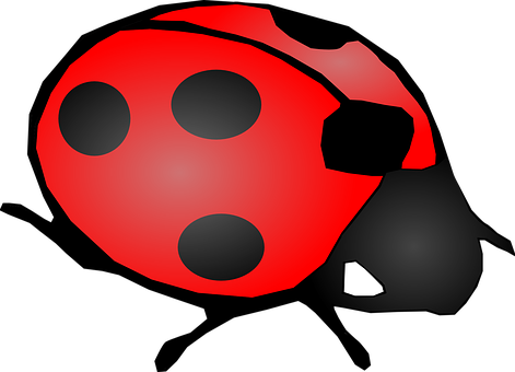 Red Black Ladybug Illustration PNG