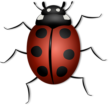 Red Black Ladybug Illustration PNG