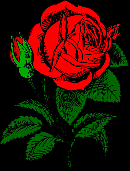 Red Black Rose Illustration PNG