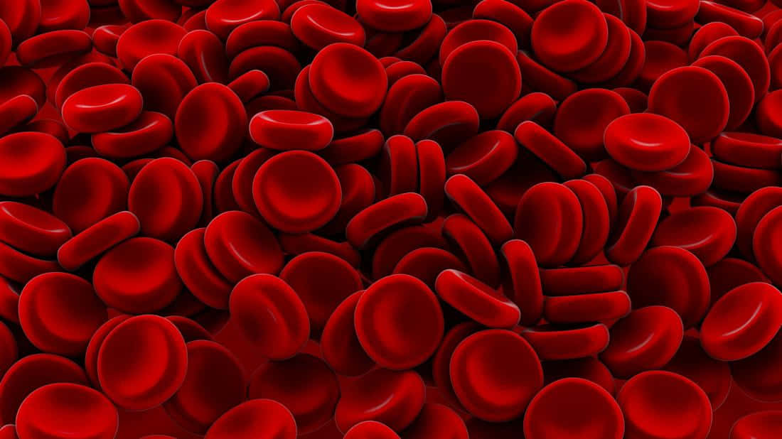 Unavista De Cerca De Los Glóbulos Rojos En El Cuerpo Humano. Fondo de pantalla
