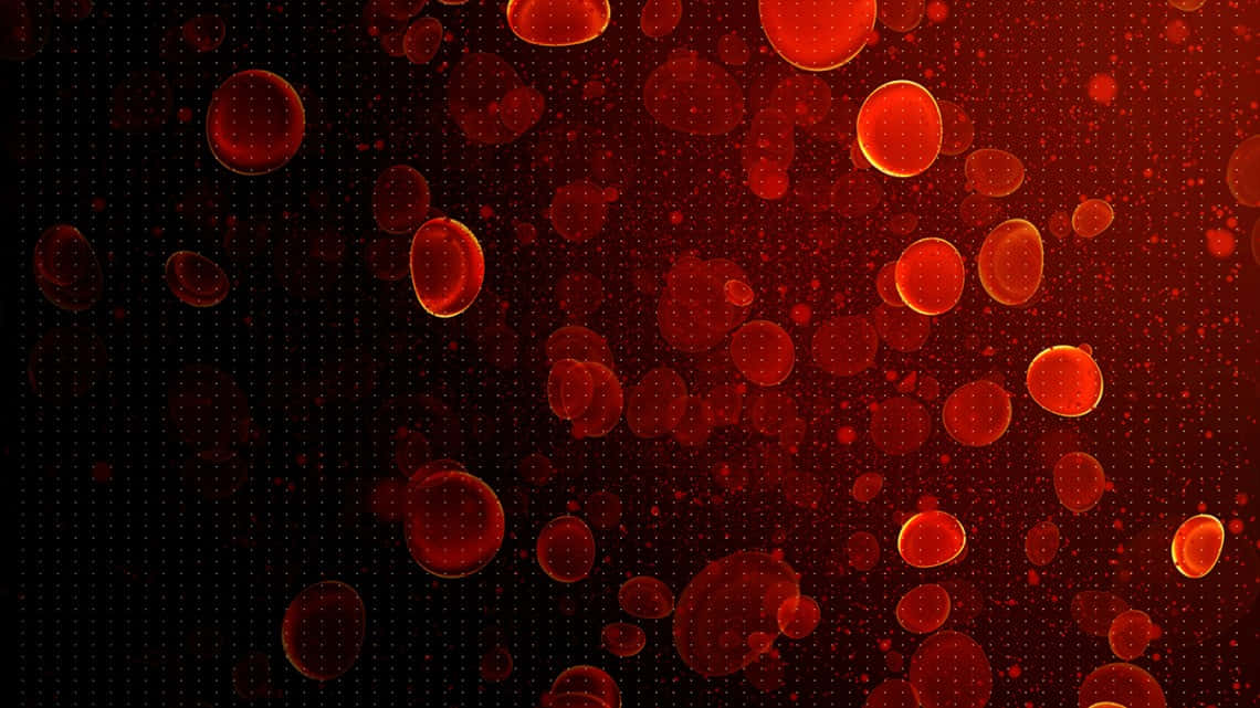 Close-up view of red blood cells flowing through a vein Wallpaper