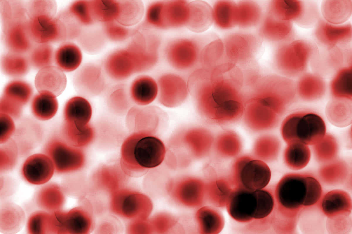 Intricate Detail of Red Blood Cells Wallpaper