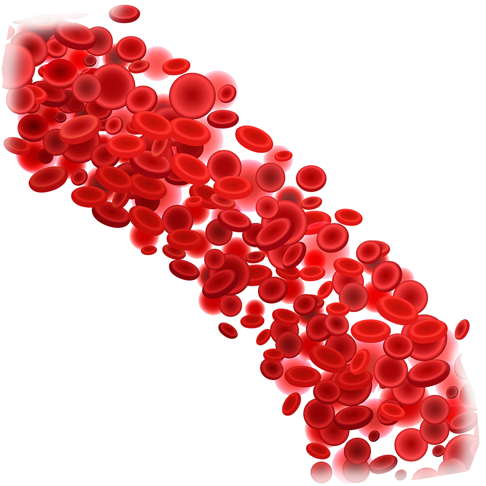 Red Blood Cells Cluster.png PNG