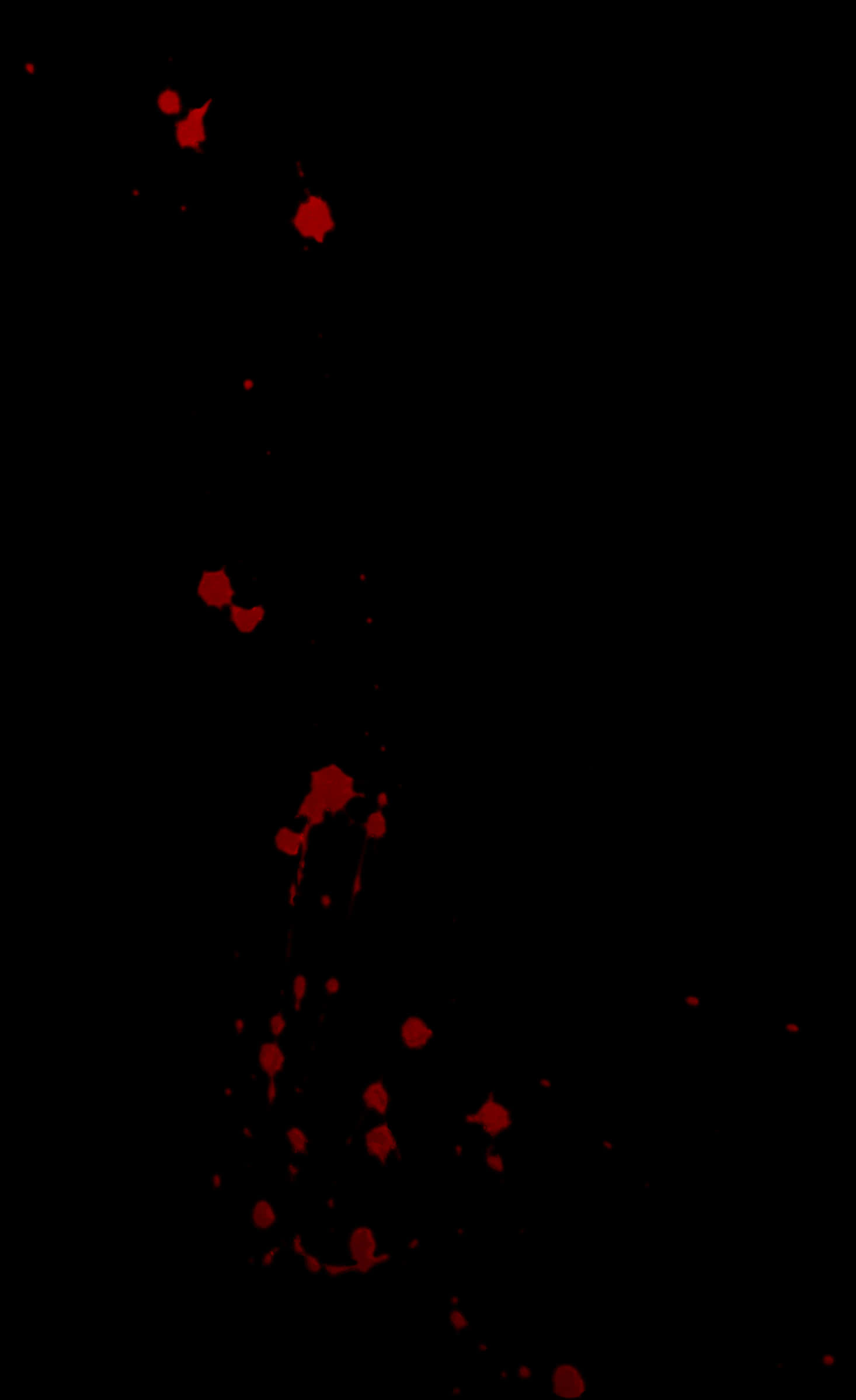 Red Blood Splatteron Black Background PNG