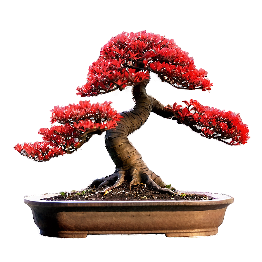 Red Bonsai Tree Drawing Png Tfg PNG