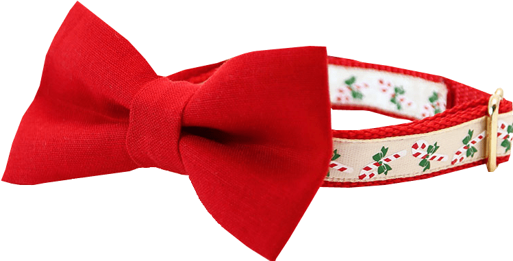 Red Bow Tie Floral Band PNG