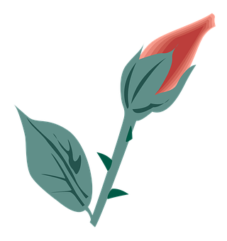 Red Bud Flower Illustration PNG