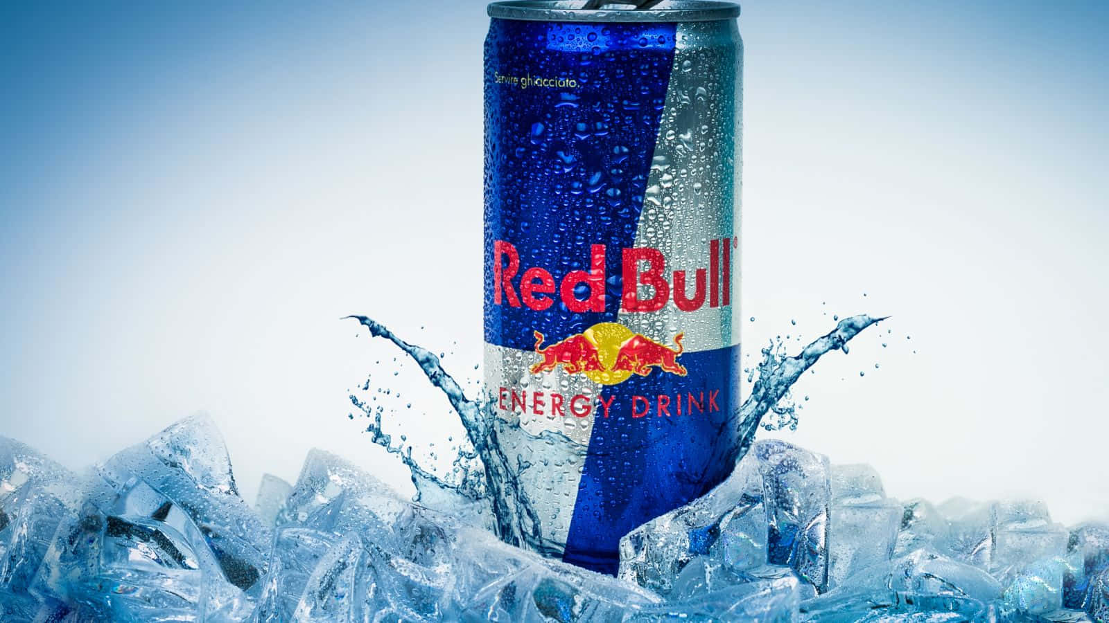 Take Flight With Red Bull!