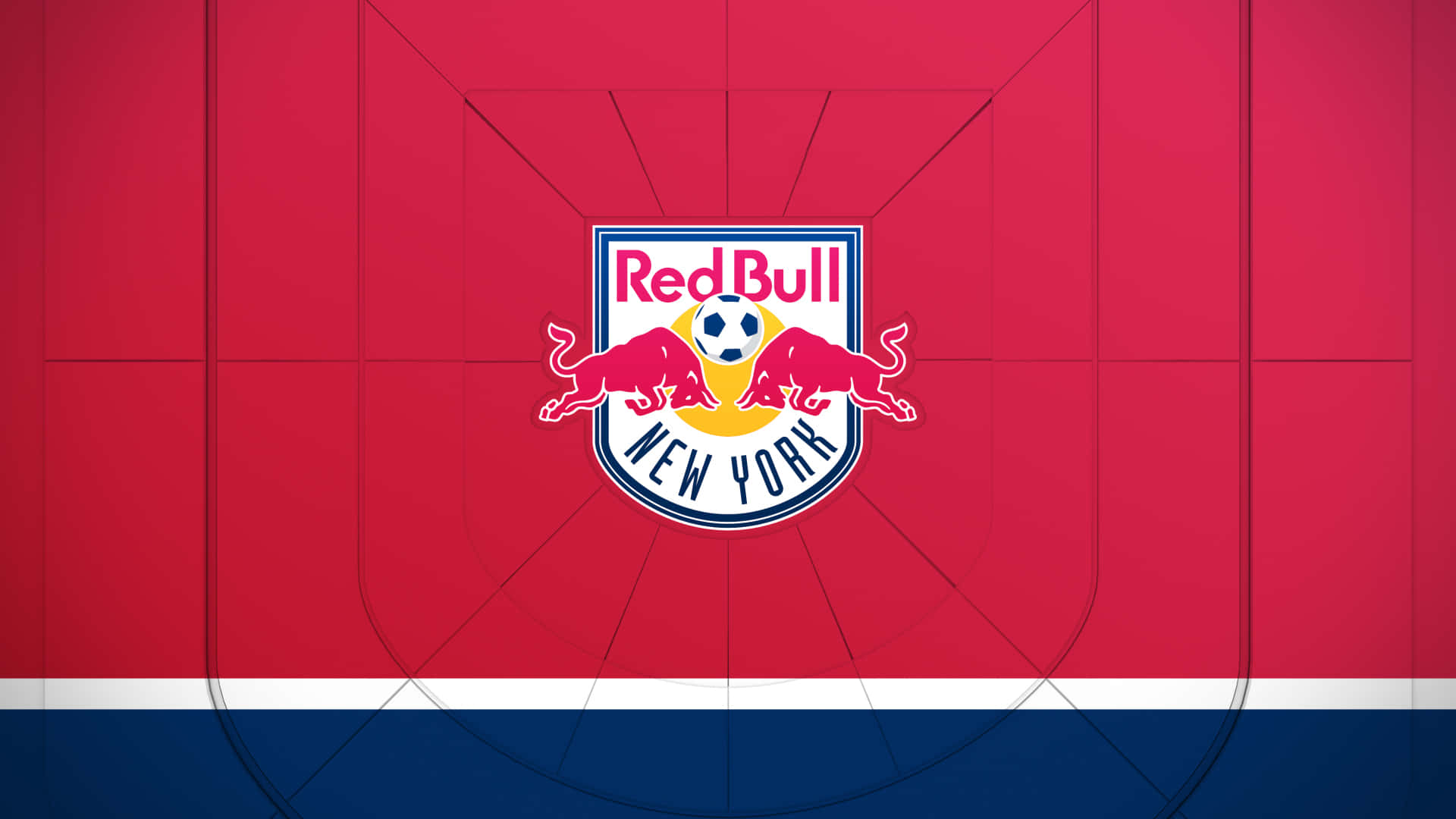 Enjoy the Power of Red Bull