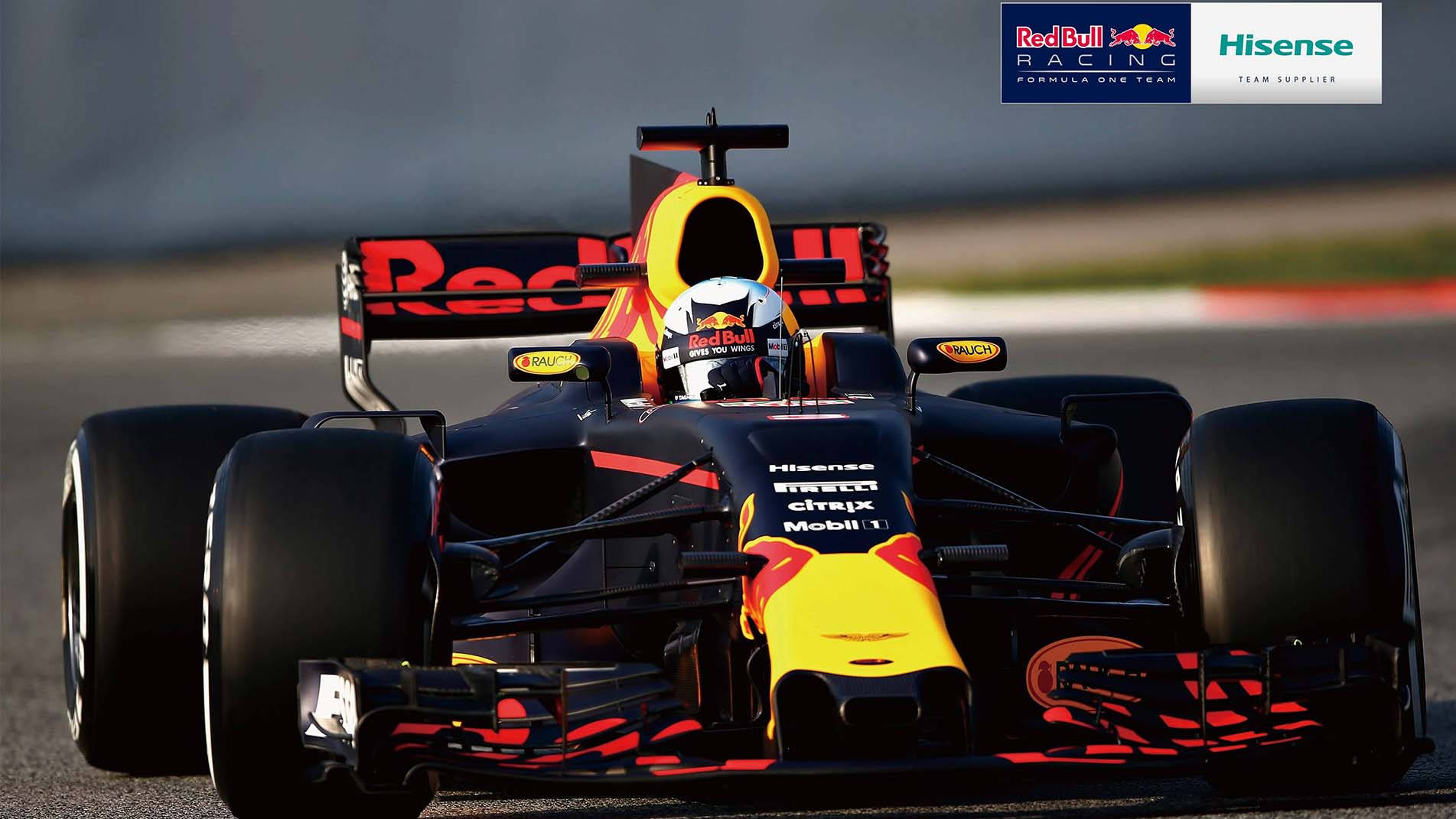 Red Bull Racing Hisense Sponsorship Wallpaper