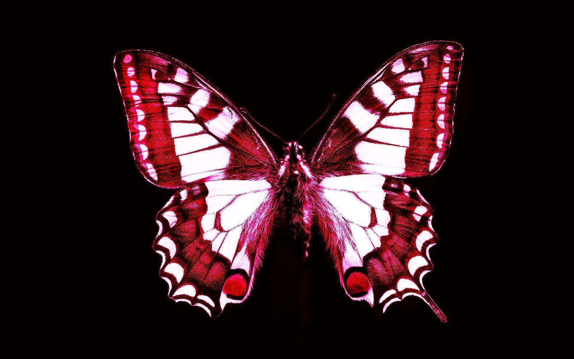 "A bright and beautiful red butterfly." Wallpaper