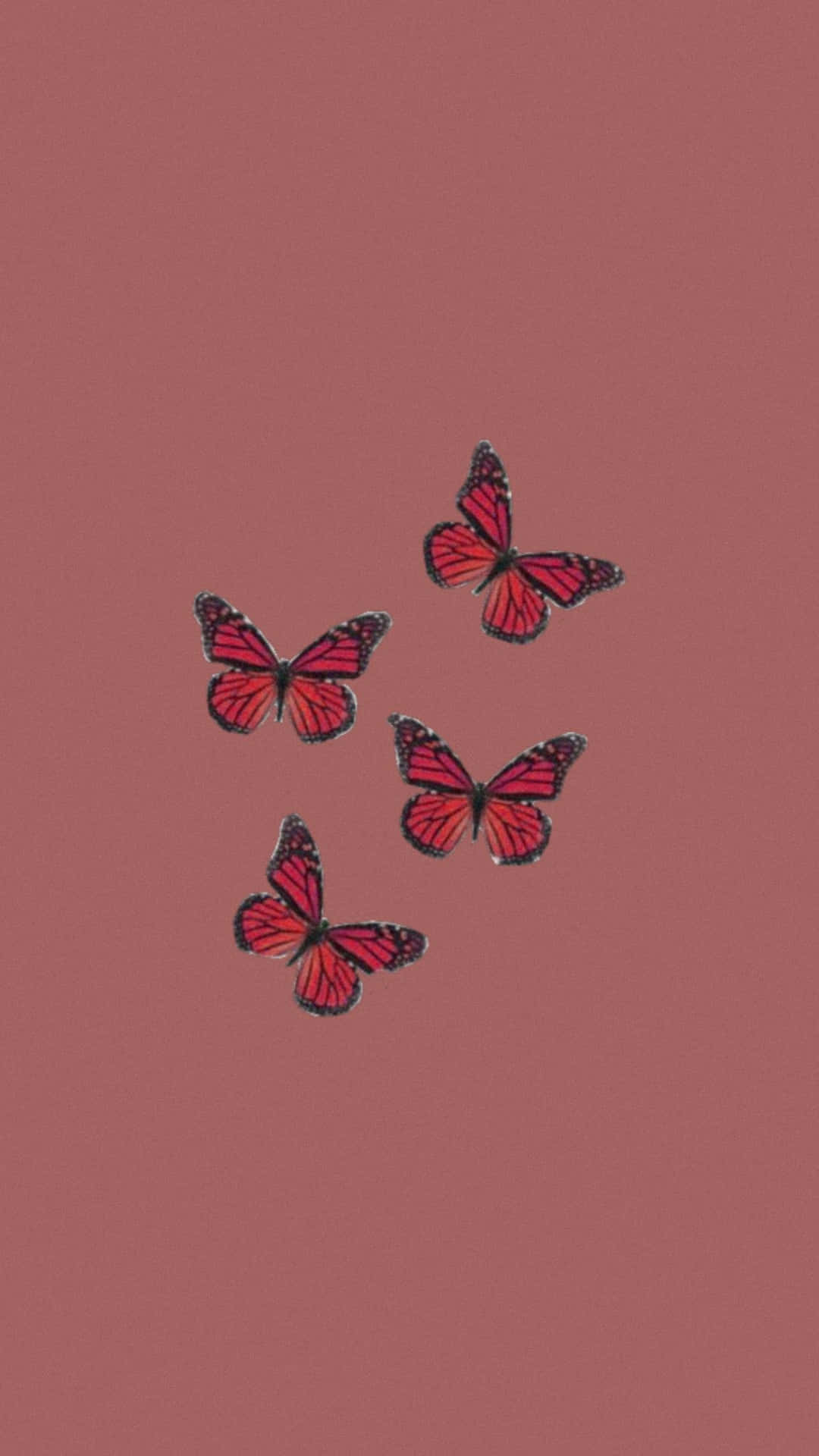 Download Red Butterfly Wallpaper 
