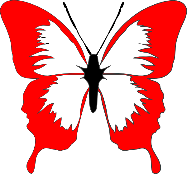 Red Butterfly Outline Graphic PNG