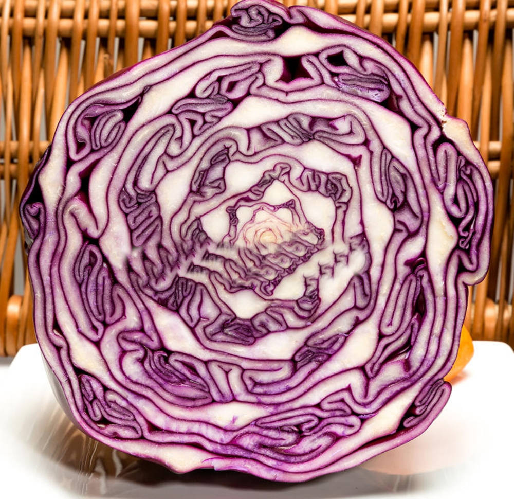 Red Cabbage Vegetable Spiral Pattern Wallpaper
