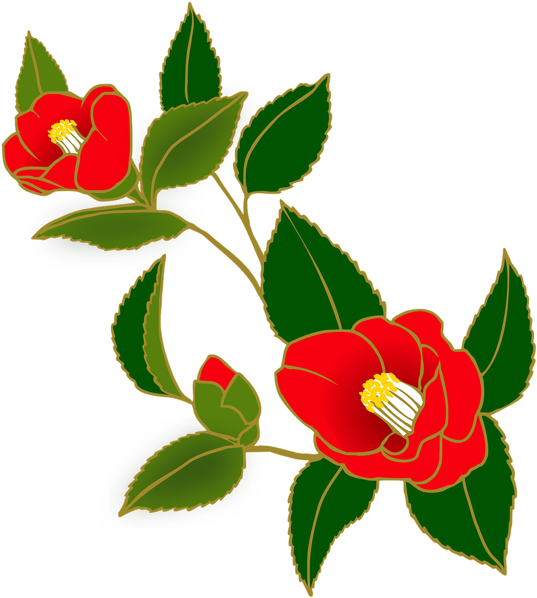 Red Camellia Illustration PNG