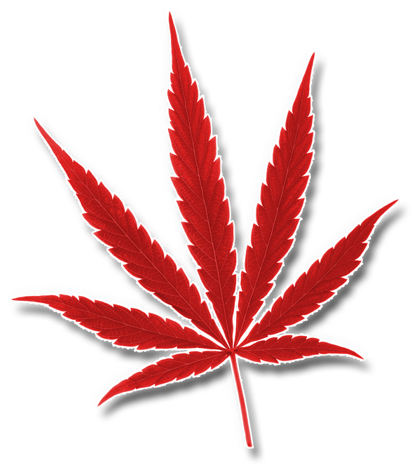 Red Cannabis Leaf Graphic PNG