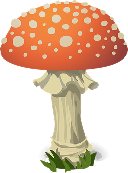 Red Capped Mushroom Cartoon PNG