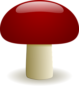 Red Capped Mushroom Illustration PNG