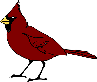 Red Cardinal Bird Illustration PNG