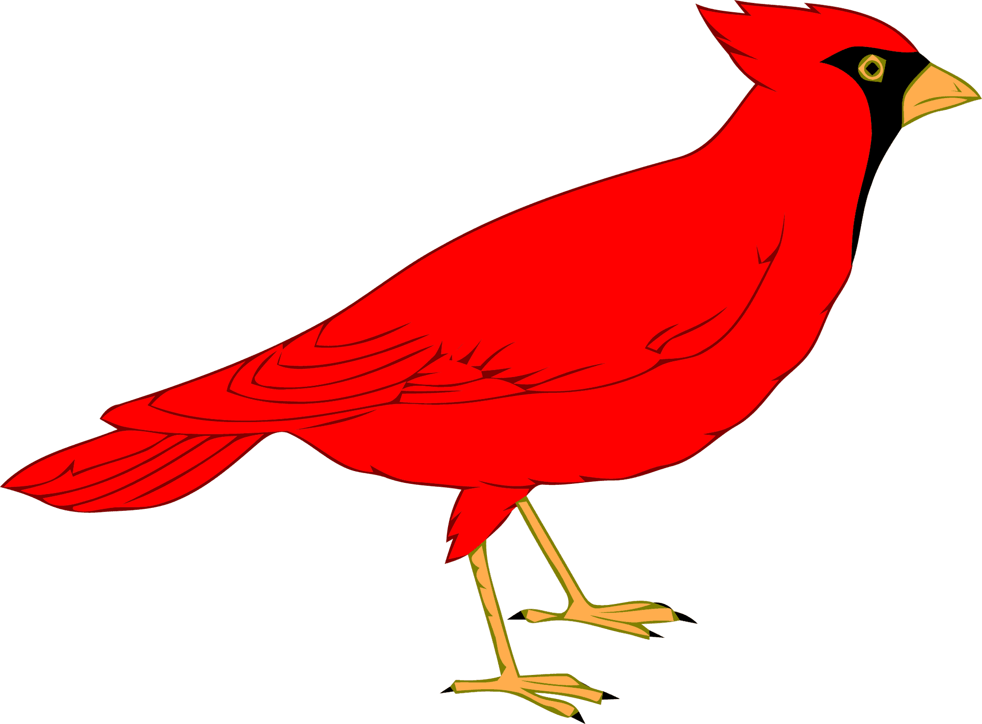 Red Cardinal Bird Illustration PNG