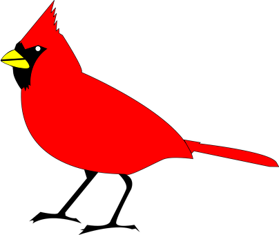 Red Cardinal Bird Vector PNG