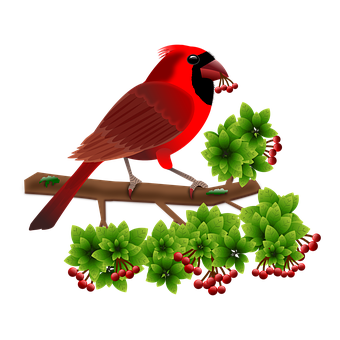 Red Cardinal Birdon Branch PNG