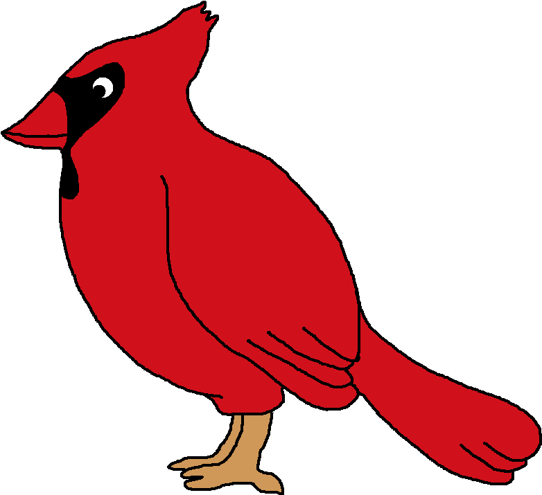 Red Cardinal Cartoon Illustration PNG