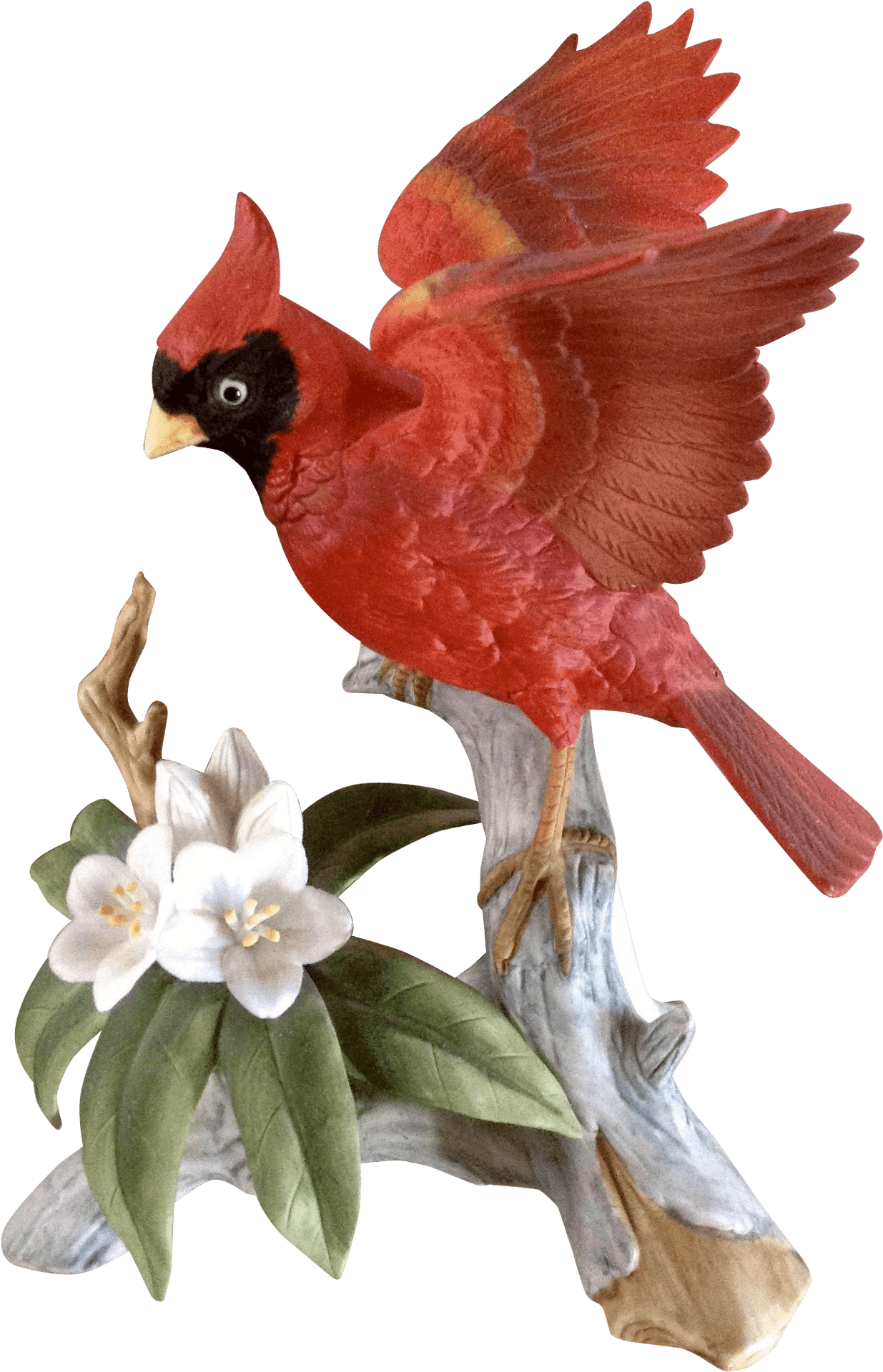 Red Cardinalon Branch PNG