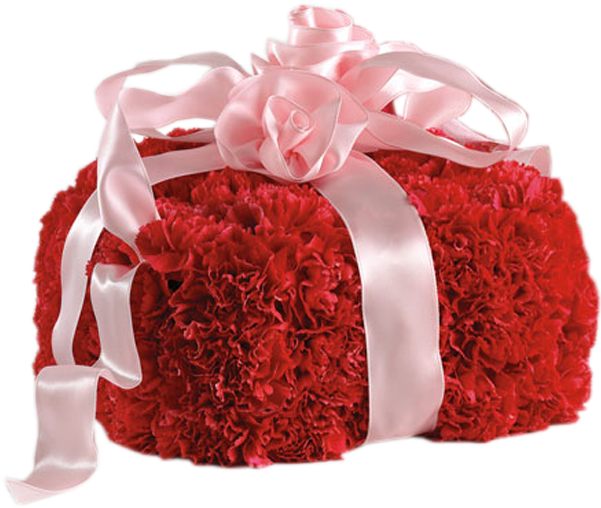 Red Carnation Floral Gift Bag PNG