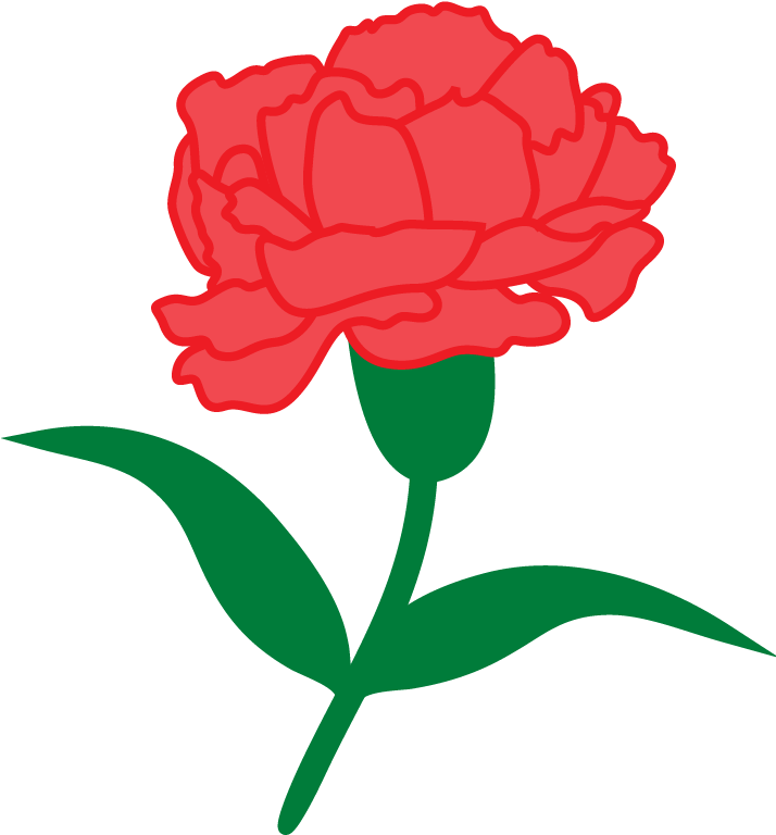 Red Carnation Vector Illustration PNG